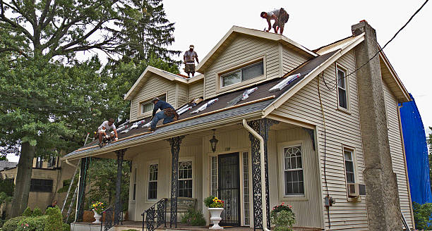 Best Local Roofing Companies  in Stanley, VA
