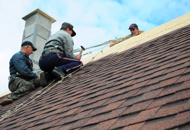Best Storm Damage Roof Repair  in Stanley, VA
