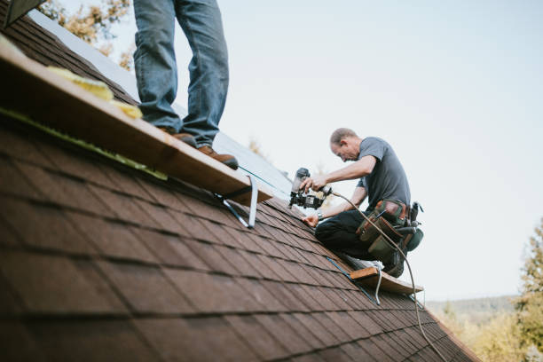 Quick and Trustworthy Emergency Roof Repair Services in Stanley, VA